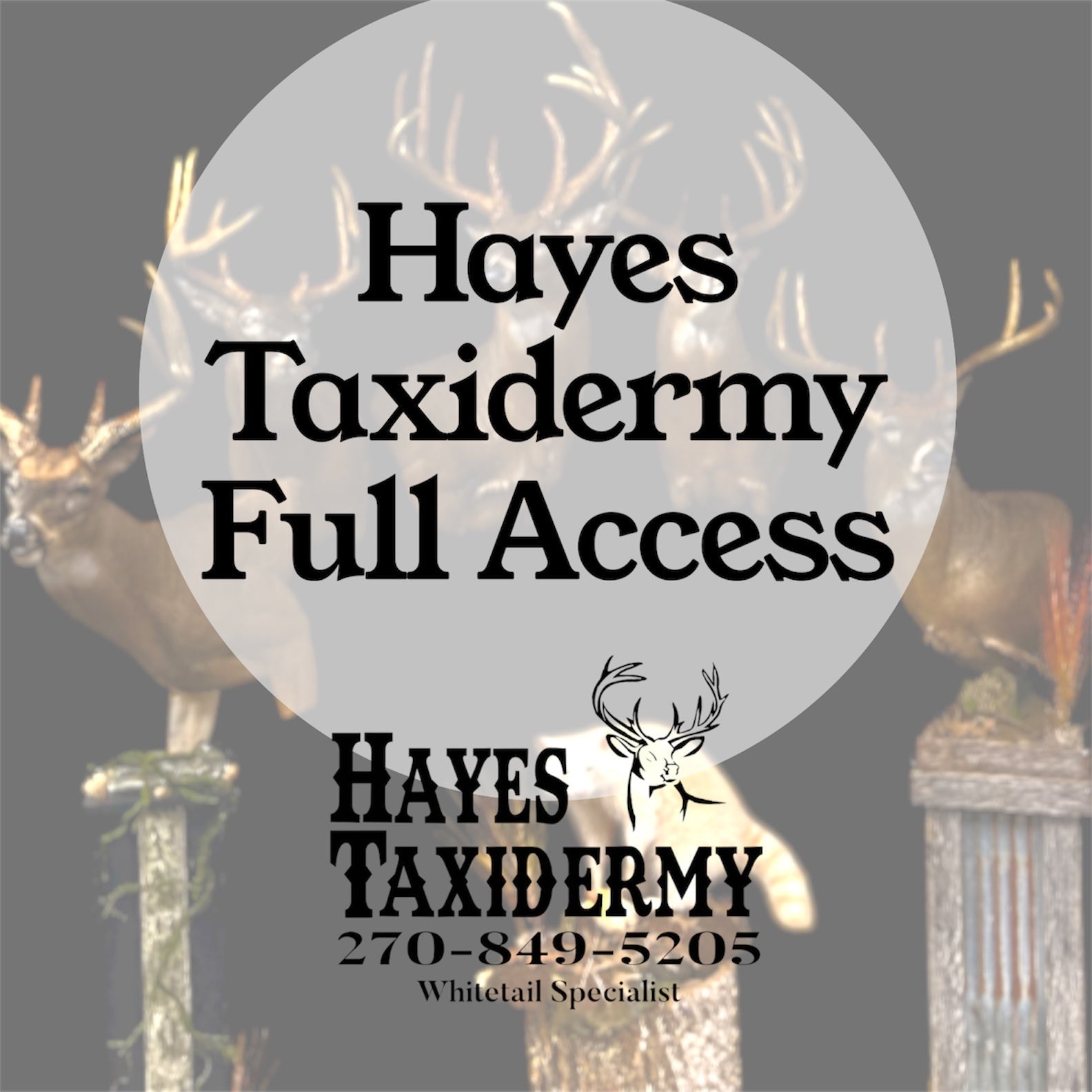 Full Access Pass