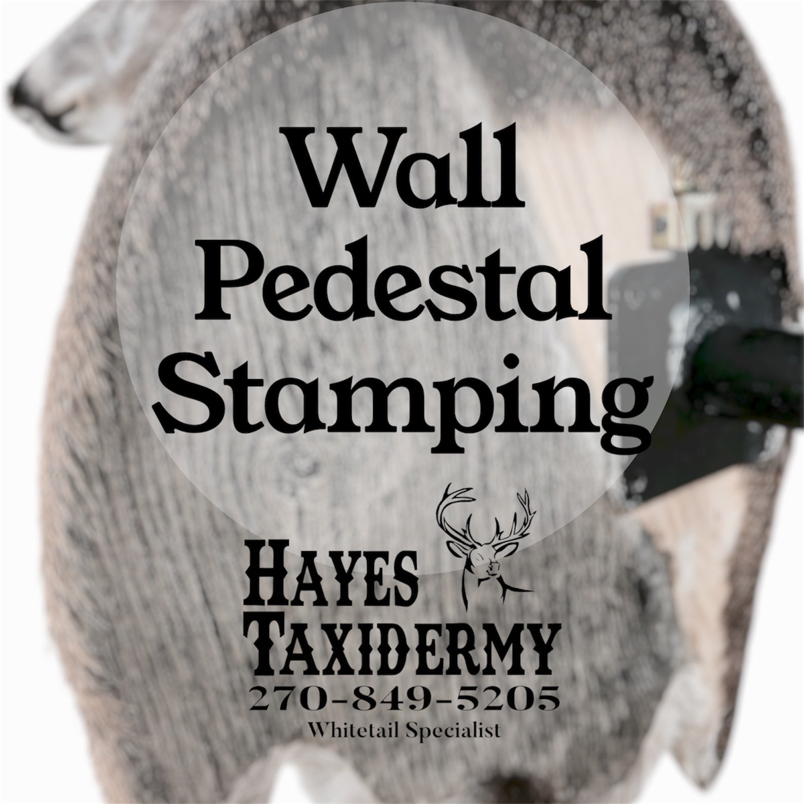 Wall Pedestal Stamping