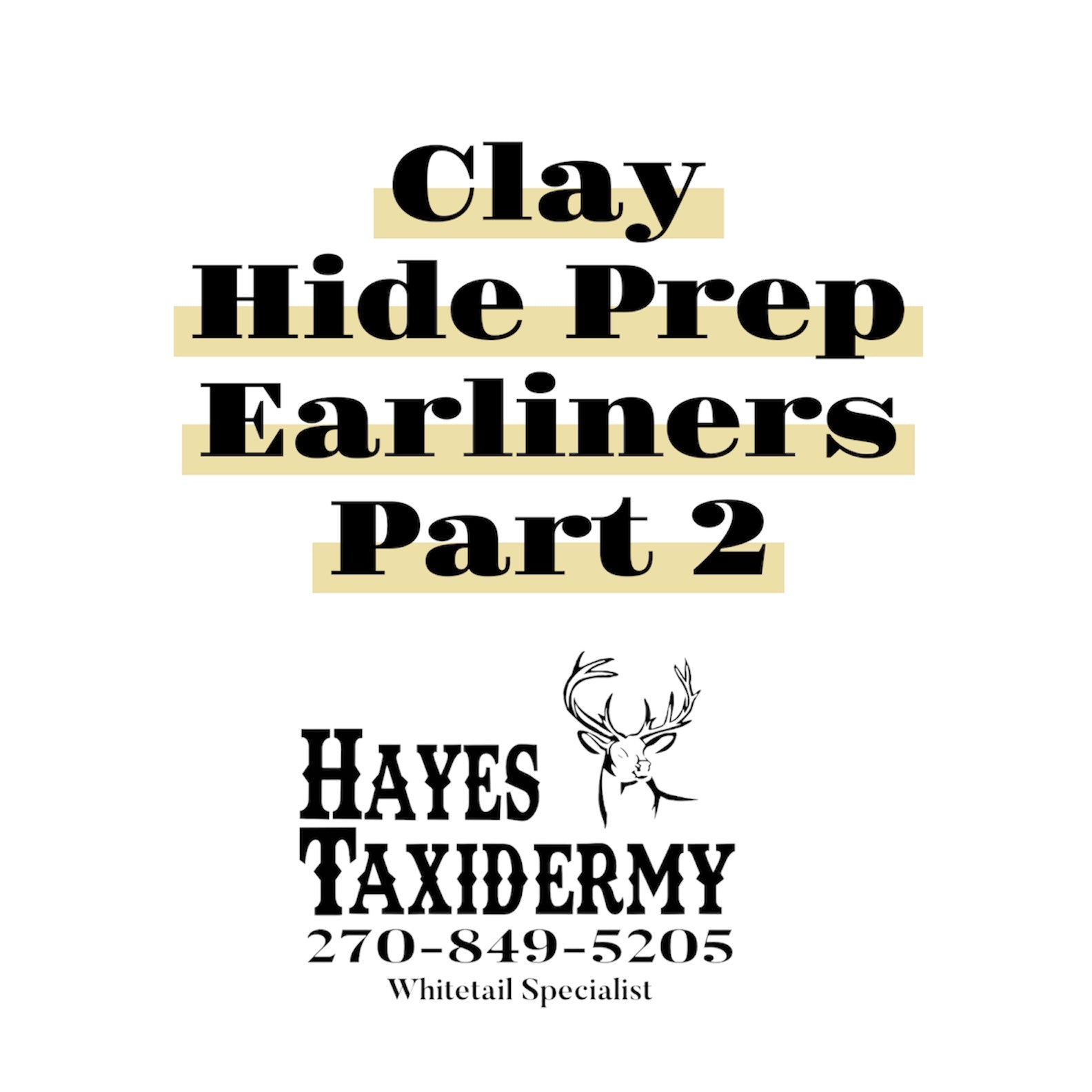 Clay/Hide Prep/Ears (Part 2)