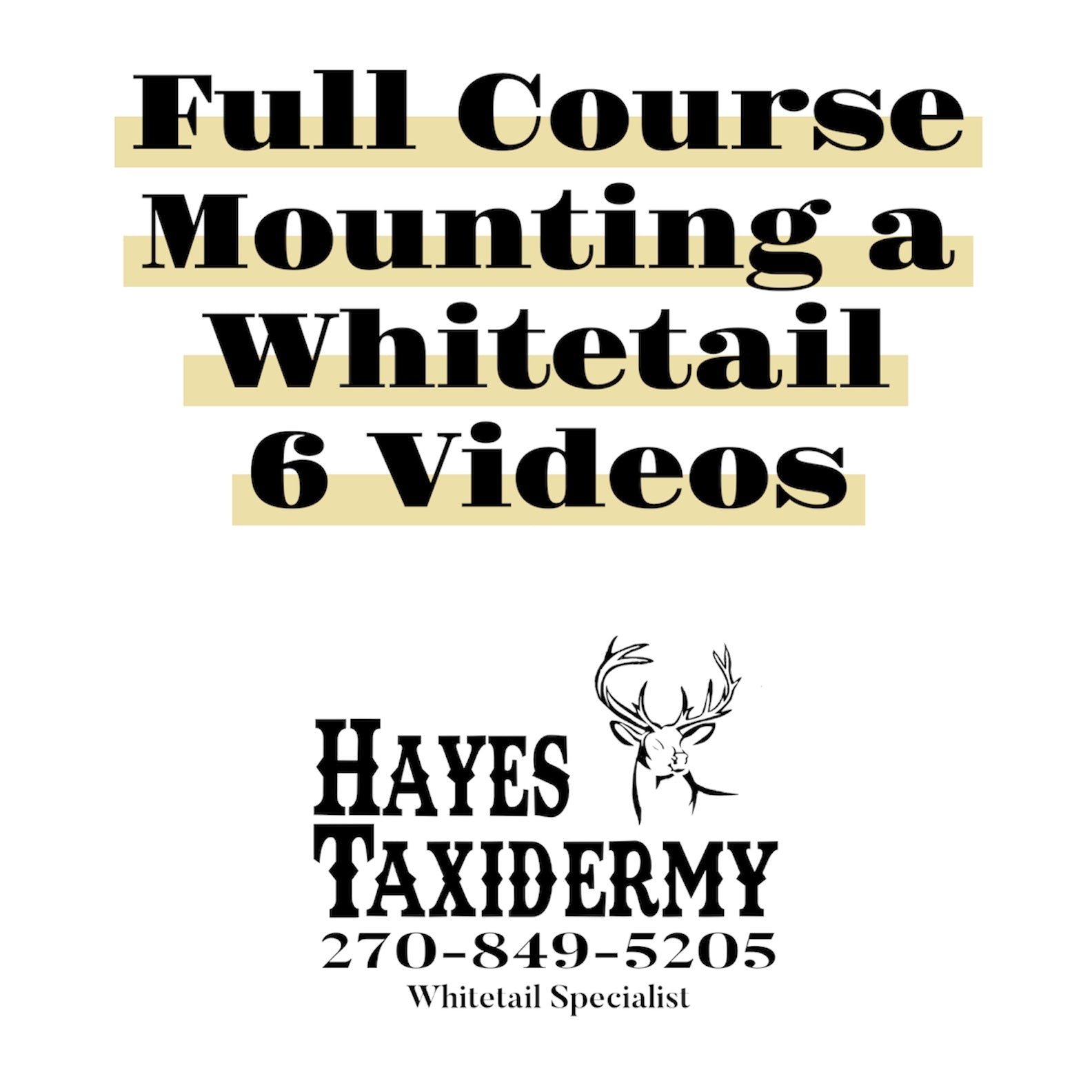Full Course of Mounting a Whitetail