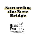 Narrowing the Nose Bridge