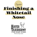Finishing a Whitetail Nose Tutorial