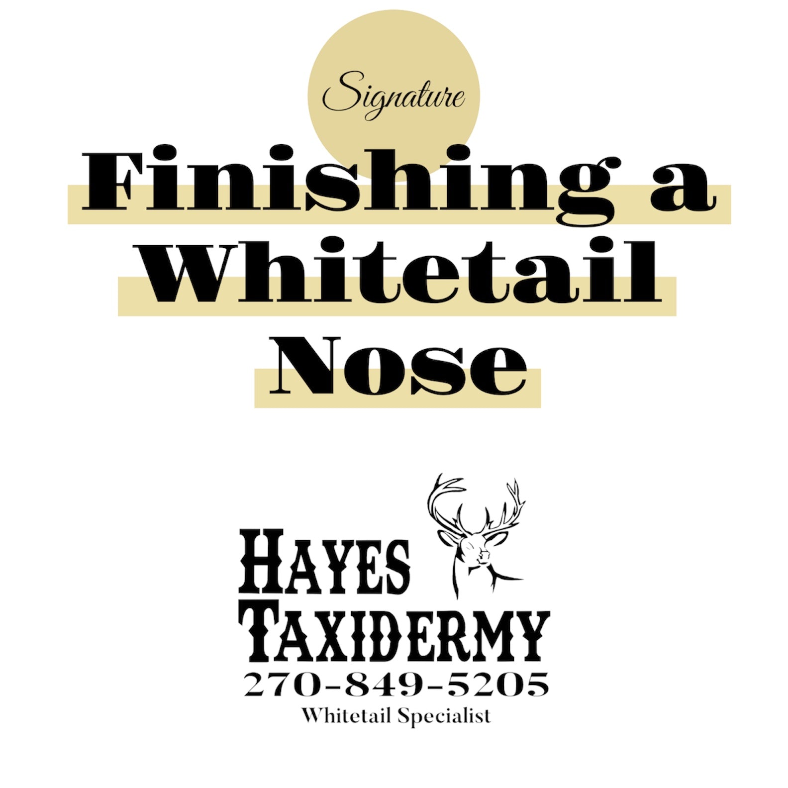 Finishing a Whitetail Nose Tutorial