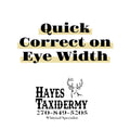 Quick Correct on Eye Width