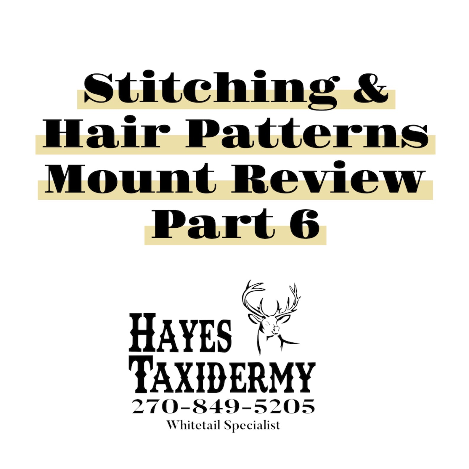 Stitching & Hair Patterns Mount Review (Part 6)