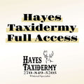 Full Access Pass